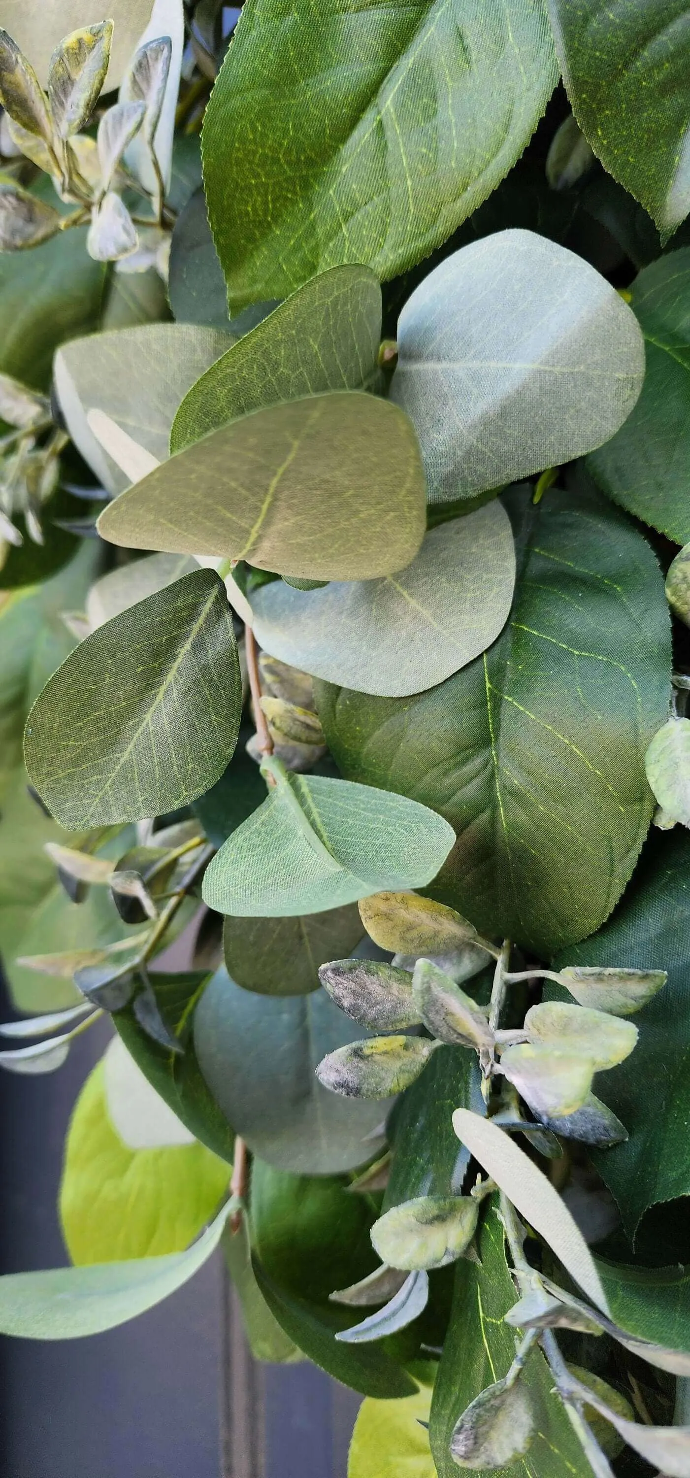 Luxurious Lemon Leaf, Silver Dollar Eucalyptus and Boxwood Wreath– Year-Round Elegance