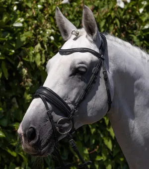 Veneto Anatomical Snaffle Bridle Black